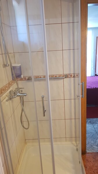 Busteni, ideal azil, hotel,